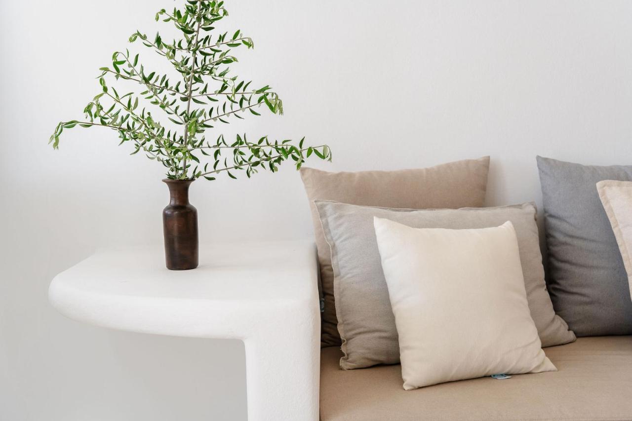 Villa Nausicaa Kastraki Naxos Naxos City Εξωτερικό φωτογραφία