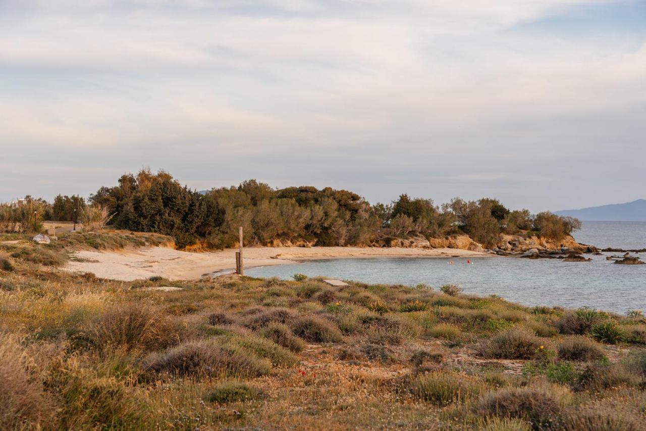 Villa Nausicaa Kastraki Naxos Naxos City Εξωτερικό φωτογραφία
